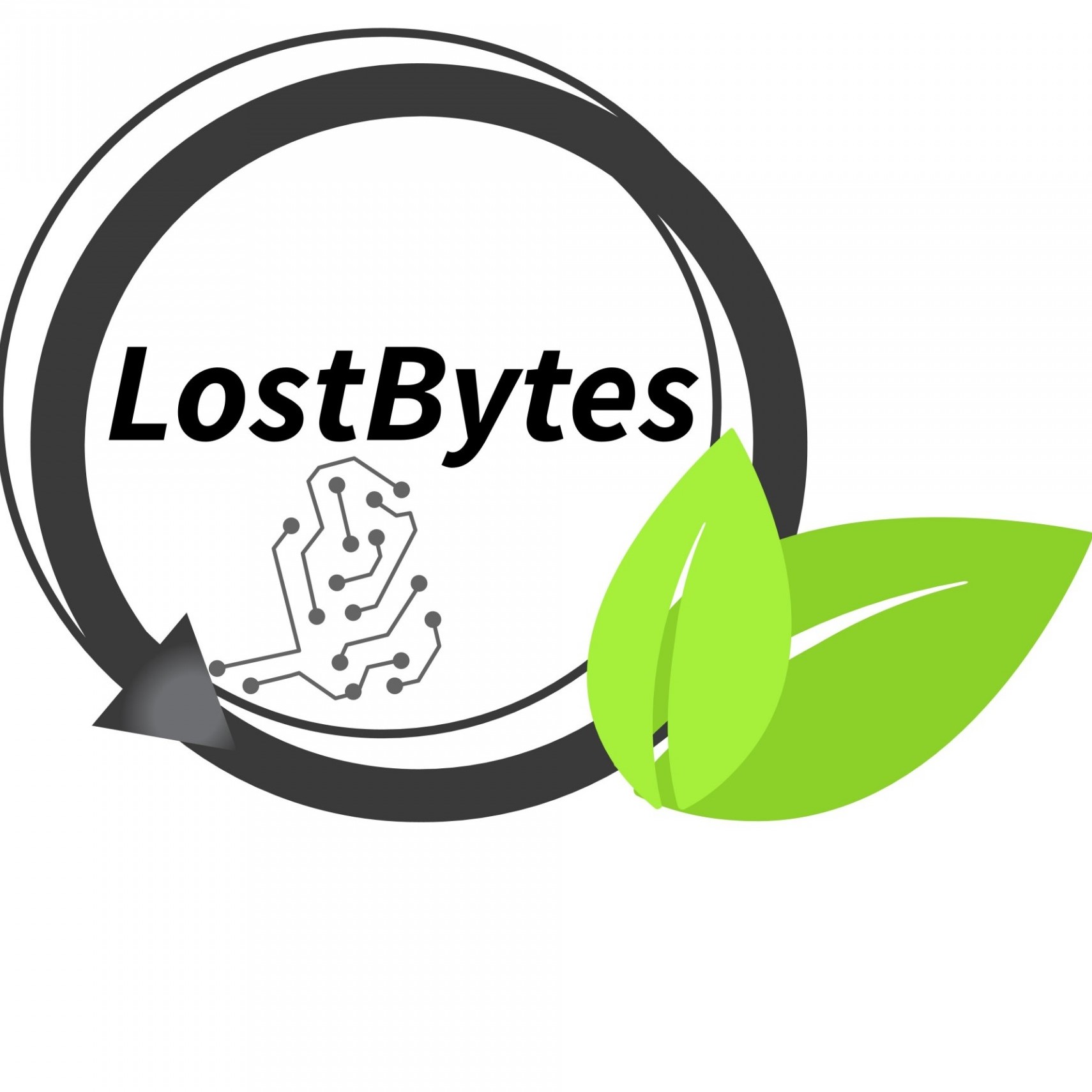 LostBytes